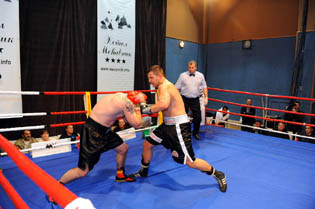 borovcanin_mecavnik_boks (9)